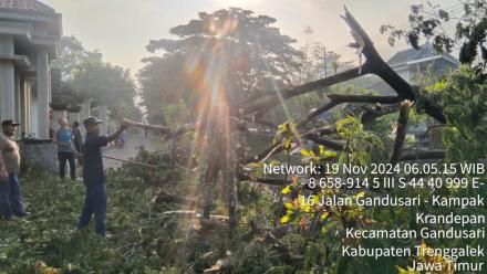 Pohon Tumbang Akibat Hujan Angin di Dusun Banaran, Warga Antusias Membantu Bersama BPBD